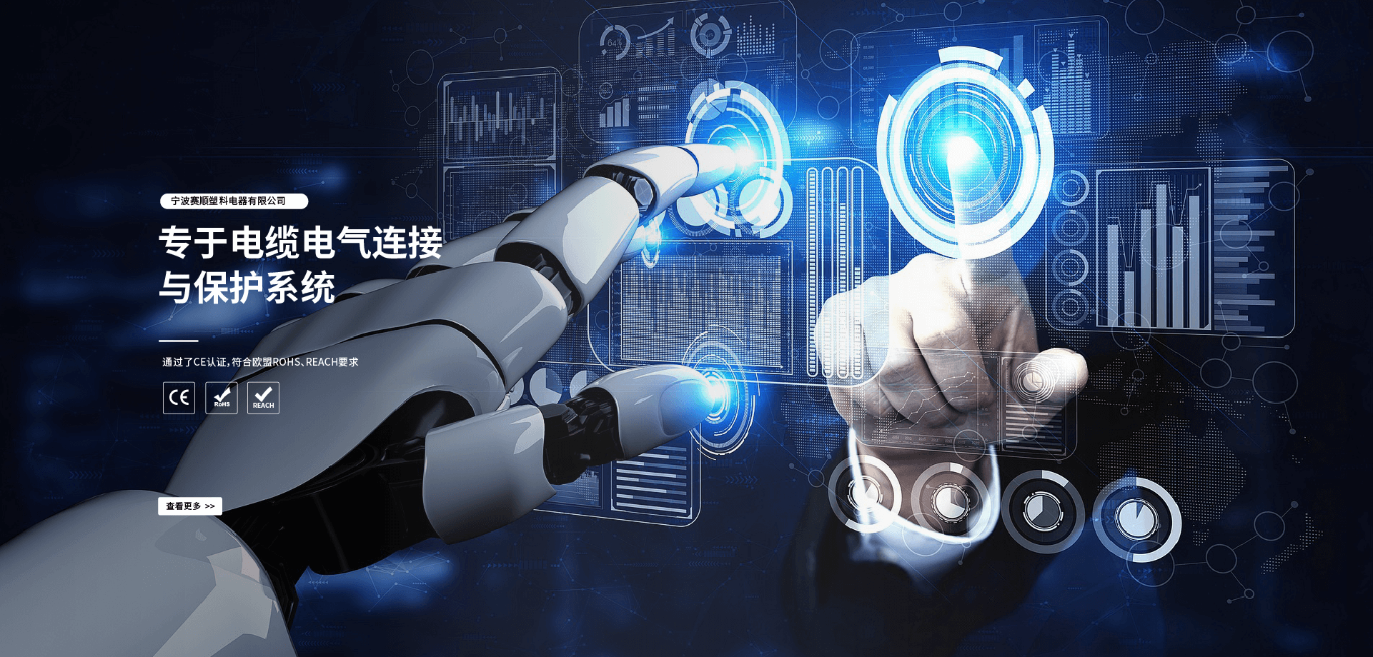 宁波赛顺塑料电器有限公司